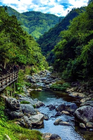森林-丰顺-八乡山-在路上-风景 图片素材