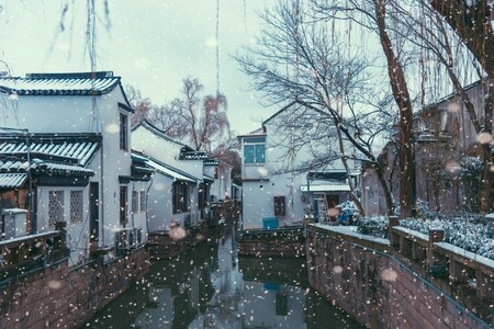 苏州-雪景-旅游-春雪-雪 图片素材