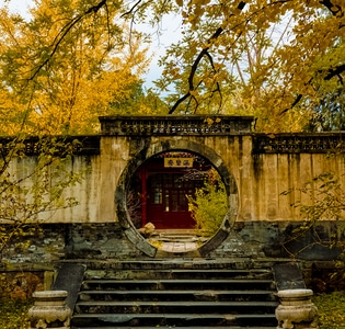 银杏黄了-北京-香山-风景-秋天 图片素材