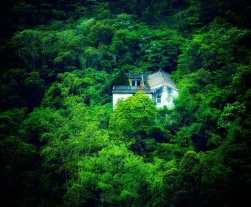 我的2019-揭阳-随拍-山村-村居 图片素材