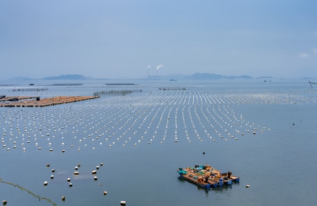 海边-海洋-养殖-纪实-纪录 图片素材
