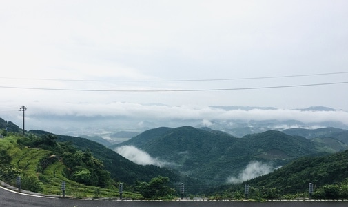 宁波市-福泉山-东钱湖-茶场-绿色 图片素材