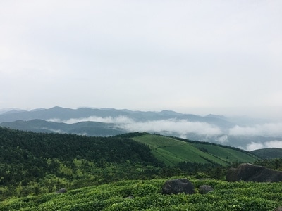 宁波市-福泉山-东钱湖-茶场-绿色 图片素材