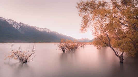 风景-水域-园林-湖水-树 图片素材