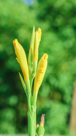 本来就是自然摄影-摄影-美图-自然-花花草草 图片素材