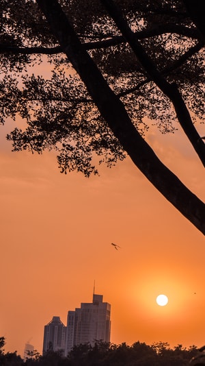 夕阳-本来就是自然摄影-美图-风景-霞光 图片素材