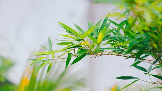 美图-自然-本来就是自然摄影-摄影-壁纸 图片素材