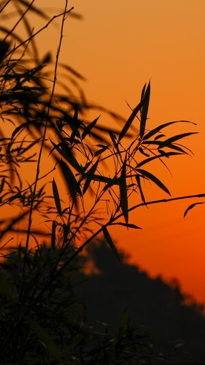 我要上封面-文艺壁纸-美图-夕阳-风景 图片素材