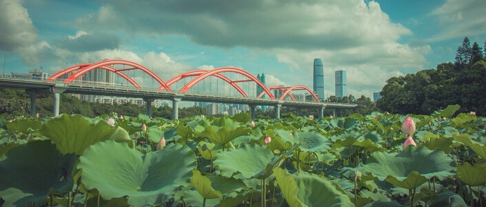 风光-旅行-创意摄影人-美图-本来就是自然 图片素材