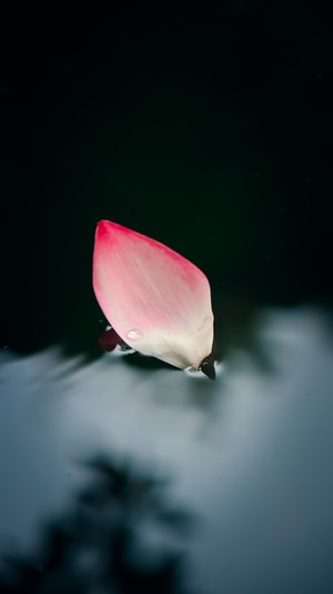 高清-自然-壁纸-色彩-美图 图片素材