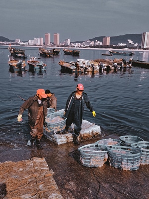 光影高新青春赋能-手机-大海-日常-海 图片素材