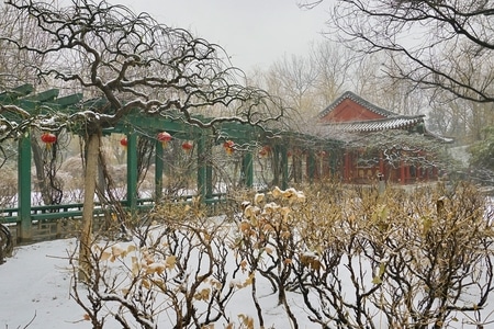 我的2019-残雪自然-雪-风光-自然 图片素材
