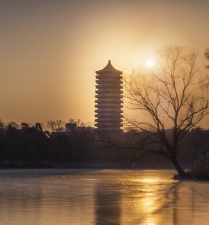 你好2020-自然风光-人在旅途-行走-北京大学 图片素材