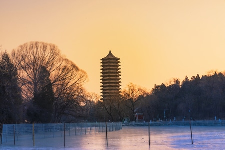 你好2020-自然风光-人在旅途-行走-北京大学 图片素材