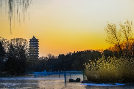 你好2020-自然风光-人在旅途-行走-北京大学 图片素材