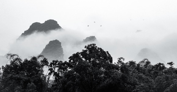 风格-你好2020-纪实-生活-风景 图片素材