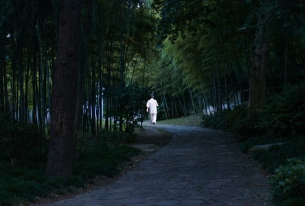 夏天-影-小路-风景-小道 图片素材