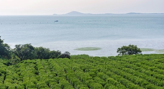 风光-纪实-风景-风光-太湖 图片素材