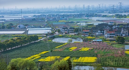 你好2020-风光-风景-江南水乡-田地 图片素材