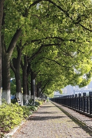 街拍-纪实-五一小长假-生活-街道 图片素材