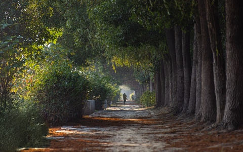 你好2020-年味-道路-小路-风景 图片素材