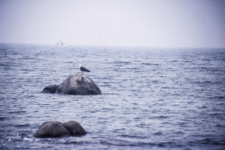 海-风光-风景-风光-海 图片素材
