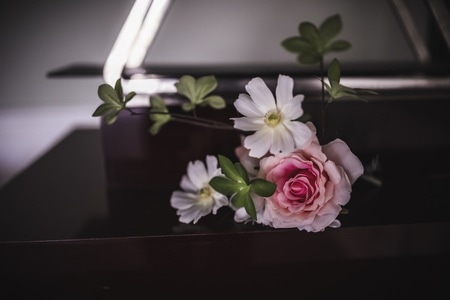 废弃-楼房-风光-楼梯-花 图片素材