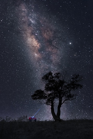 树-风光-星空-风景-夜景 图片素材