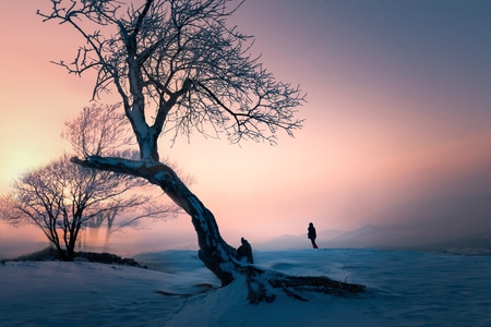 风光-日出-雪-风景-风光 图片素材