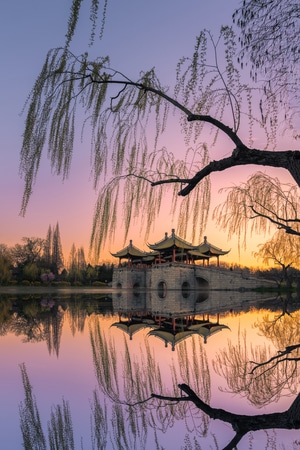 树-日出-风光-湖泊-风景 图片素材