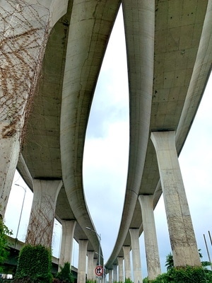 苏州市-绿色-建筑-风光-纪实 图片素材