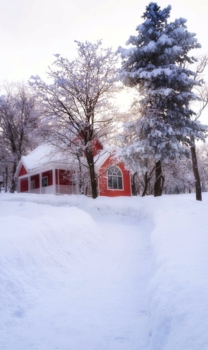 创意随拍-阳光-光影-雪景-冬日 图片素材