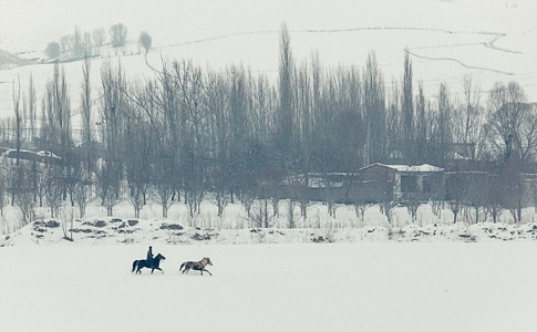 雪山-冬日-马-牧马人-马 图片素材