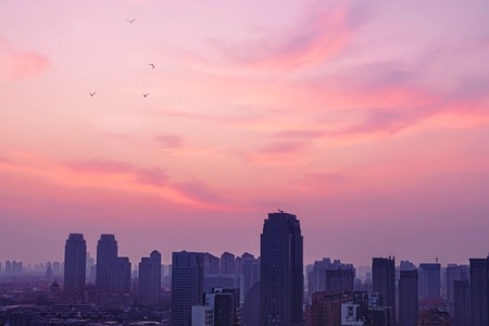 我的六月-天津市-初夏-城市-城市风光 图片素材