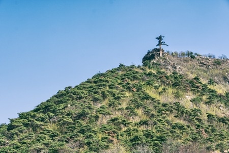 连云港-看你的城市-花果山-孙悟空-春 图片素材