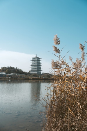 旅行-西安-看你的城市-秋天-城市 图片素材