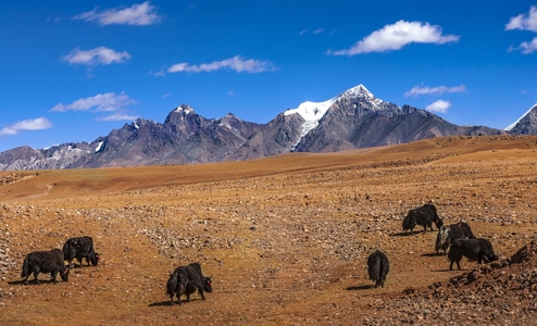 风光-颜色-风景-自然-旅行 图片素材