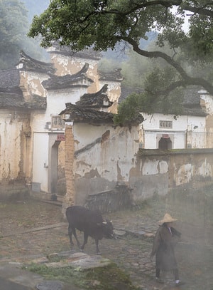 纪实-记忆中的乡愁-古建筑-牛-牧民 图片素材