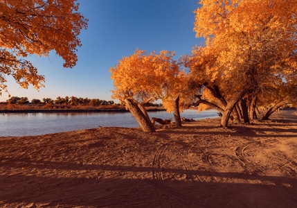 秋色-颜色-风光-沙漠-旅行 图片素材