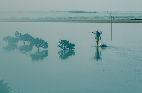 自然-风光-风景-人与自然-抓拍 图片素材