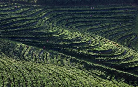 风光-旅行-2019inf招募-风光-自然 图片素材