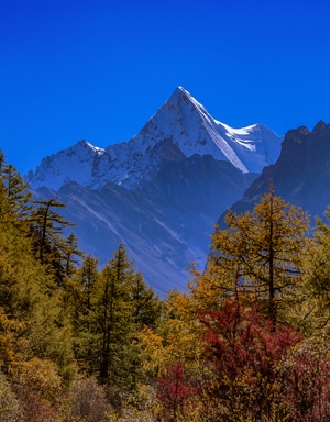 秋天-雪景-光影-风光-旅行 图片素材