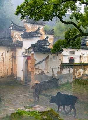 你好2020-光影-风景-户外-旅行 图片素材