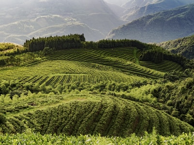 风光-旅行-2019inf招募-风光-自然 图片素材