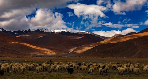 西藏-蓝-户外-晨光-旅行 图片素材