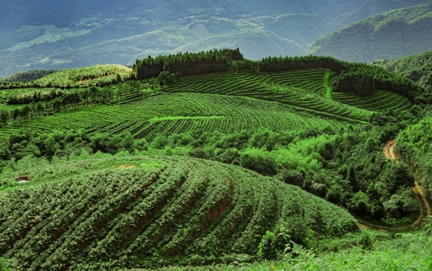 美丽乡村-人与自然-自然-旅行-风光 图片素材