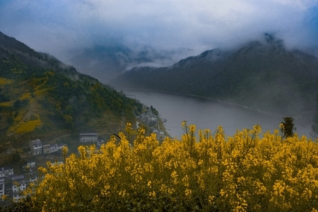新安江-旅游-生活-安静-阴天 图片素材