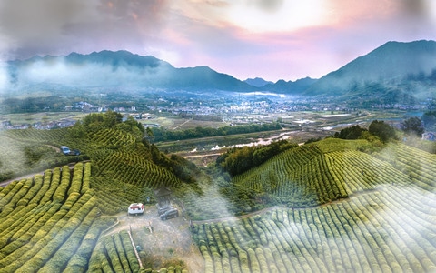 宣城市-茶厂-航拍-电脑传图-白云 图片素材