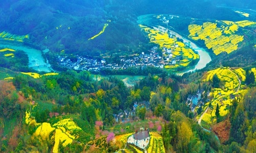 山-白云-山村-油菜花-电脑传图 图片素材