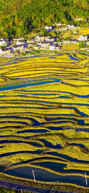 我的2019-远山-秋天-自然-风景 图片素材